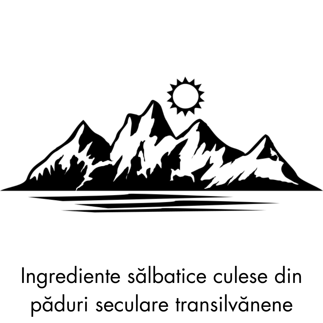 secom imunitate ulei de catina capsule omega 3 vitamina c solgar imunitate pentru imunitate miere de manuka complex de vitamine si minerale vitamine pentru imunitate adulti omega 3 secom suplimente premium