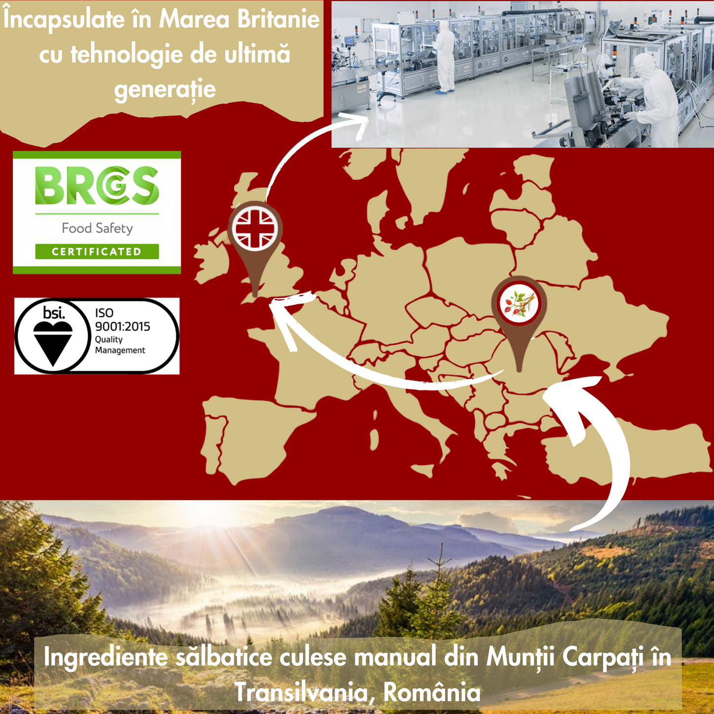 "Cardio Wild™| Formulă Sălbatică din Păducel și Salcie Albă pentru Circulație, Relaxare optimă și Articulații sănătoase"