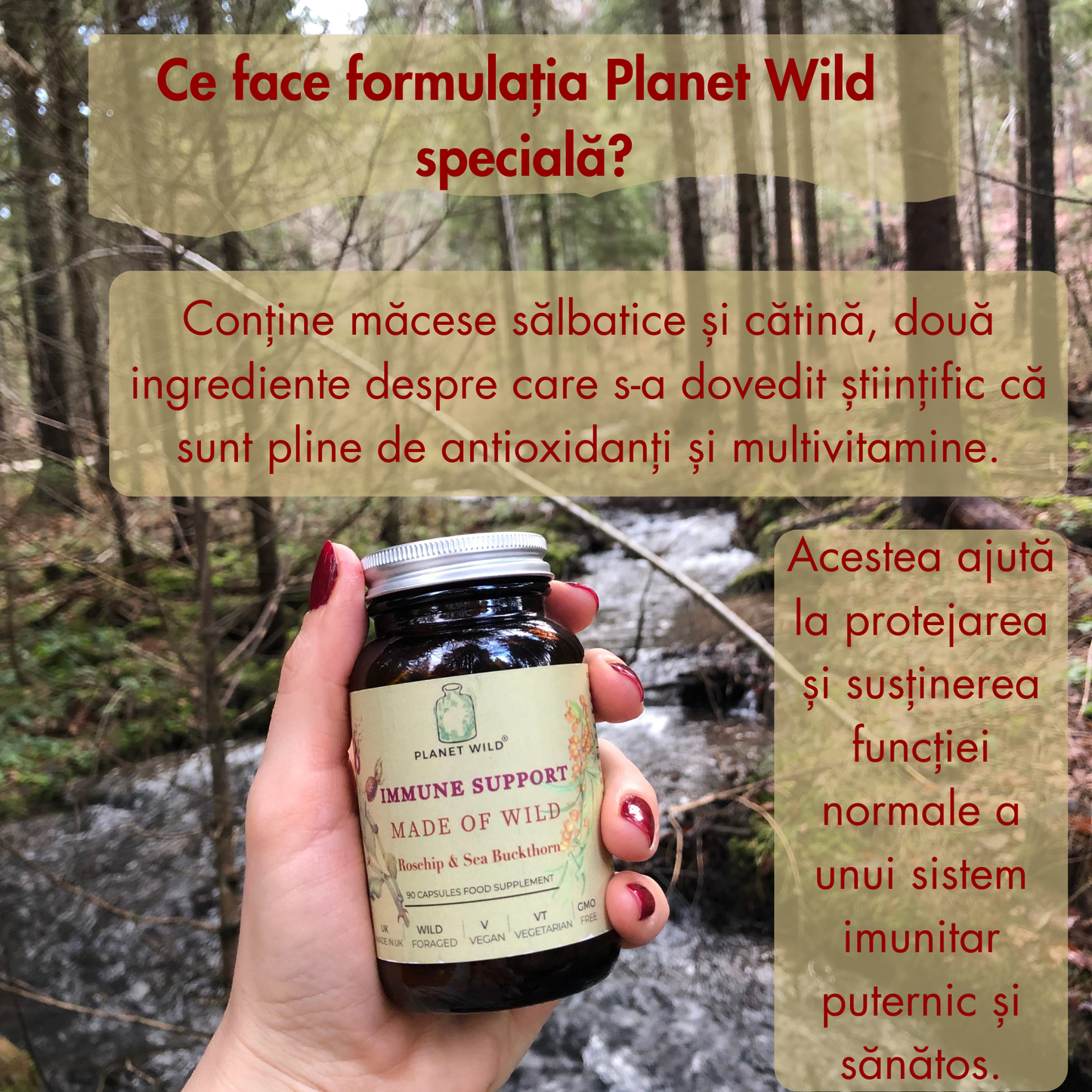 “Immune Wild™ | Formulă Sălbatică din Măceșe și Cătină pentru Imunitate, Susținere Metabolism și Menținerea Sănătății"