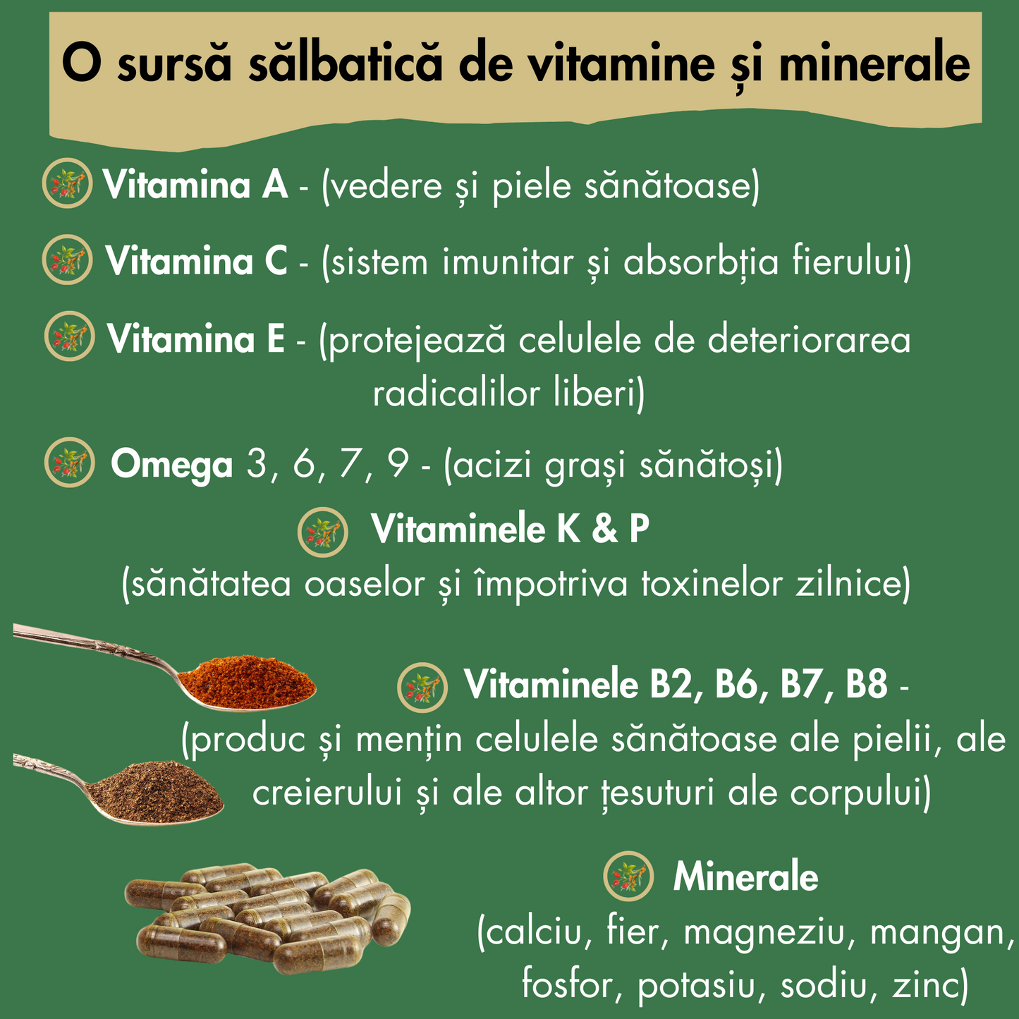 “Immune Wild™ | Formulă Sălbatică din Măceșe și Cătină pentru Imunitate, Susținere Metabolism și Menținerea Sănătății"