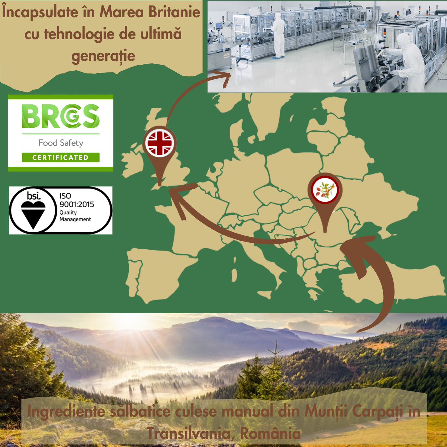 “Immune Wild™ | Formulă Sălbatică din Măceșe și Cătină pentru Imunitate, Susținere Metabolism și Menținerea Sănătății"