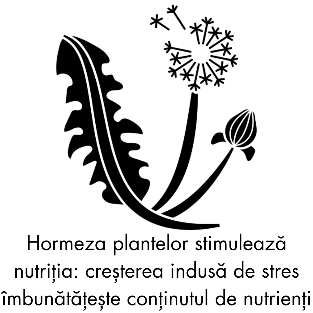 secom imunitate ulei de catina capsule omega 3 vitamina c solgar imunitate pentru imunitate miere de manuka complex de vitamine si minerale vitamine pentru imunitate adulti omega 3 secom suplimente premium