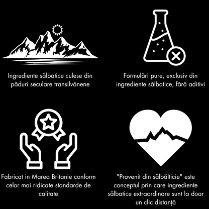 Sistemul digestiv Sanatate zilnica Sistemul imunitar Sistemul osos Sistemul respirator Sistemul reproducator masculin Sistemul nervos Sistemul reproducator feminin Sistemul articular Sistemul cardiovascular Piele Sistemul urinar Sanatate sexuala catina salbatica macese salbatice