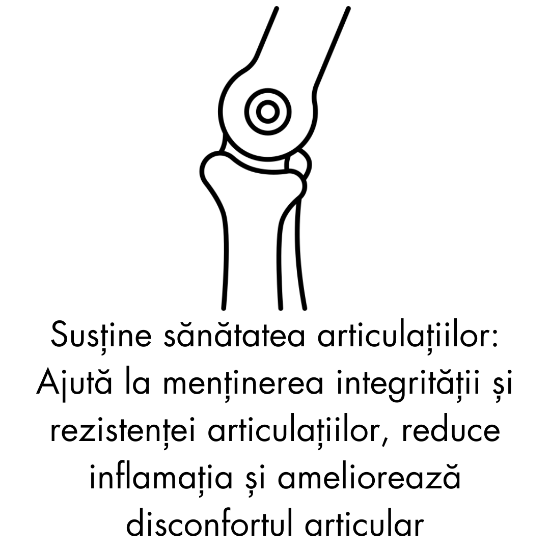 secom imunitate ulei de catina capsule omega 3 vitamina c solgar imunitate pentru imunitate miere de manuka complex de vitamine si minerale vitamine pentru imunitate adulti omega 3 secom suplimente premium