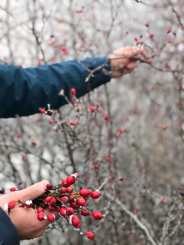 secom imunitate ulei de catina capsule omega 3 vitamina c solgar imunitate pentru imunitate miere de manuka complex de vitamine si minerale vitamine pentru imunitate adulti omega 3 secom suplimente premium